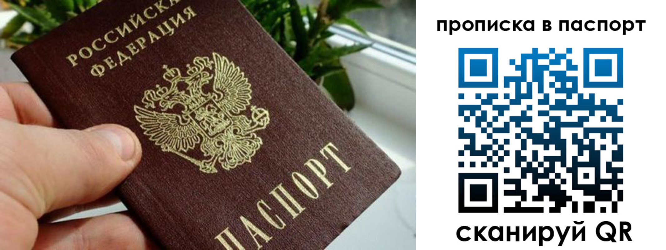 пропишу в квартире в Пикалёво